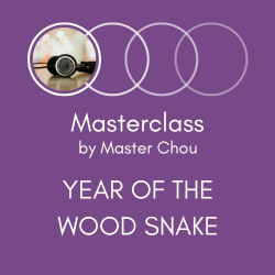 Year of the Snake 2025